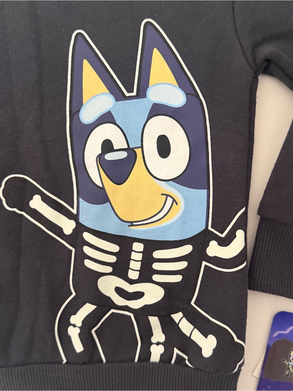 Bluey Halloween Glow In The Dark Sweatshirt Toddler 2T NWT - Picture 8 of 9